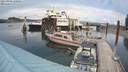 ./images/quadra/hbidock/20210906/hbidock20210906_150500M.jpg