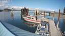 ./images/quadra/hbidock/20210909/hbidock20210909_154500M.jpg
