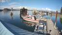 ./images/quadra/hbidock/20210909/hbidock20210909_162000M.jpg