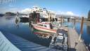 ./images/quadra/hbidock/20210909/hbidock20210909_163500M.jpg