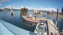 ./images/quadra/hbidock/20210910/hbidock20210910_143000M.jpg