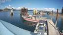 ./images/quadra/hbidock/20210910/hbidock20210910_143500M.jpg