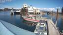./images/quadra/hbidock/20210910/hbidock20210910_145500M.jpg