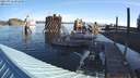 ./images/quadra/hbidock/20210916/hbidock20210916_091000M.jpg