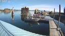 ./images/quadra/hbidock/20210916/hbidock20210916_100500M.jpg