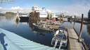 ./images/quadra/hbidock/20211007/hbidock20211007_112500M.jpg