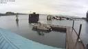 ./images/quadra/hbidock/20211021/hbidock20211021_093500M.jpg