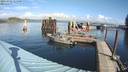 ./images/quadra/hbidock/20211022/hbidock20211022_115500M.jpg