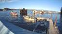 ./images/quadra/hbidock/20211029/hbidock20211029_162500M.jpg