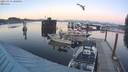 ./images/quadra/hbidock/20211031/hbidock20211031_180000M.jpg
