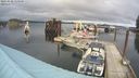 ./images/quadra/hbidock/20211120/hbidock20211120_115500M.jpg