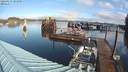 ./images/quadra/hbidock/20220131/hbidock20220131_101000M.jpg
