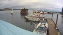 ./images/quadra/hbidock/20220204/hbidock20220204_114500M.jpg