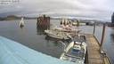 ./images/quadra/hbidock/20220204/hbidock20220204_122500M.jpg