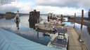 ./images/quadra/hbidock/20220207/hbidock20220207_155500M.jpg