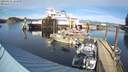 ./images/quadra/hbidock/20220211/hbidock20220211_144500M.jpg