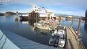 ./images/quadra/hbidock/20220211/hbidock20220211_145500M.jpg