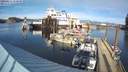 ./images/quadra/hbidock/20220211/hbidock20220211_150500M.jpg