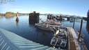 ./images/quadra/hbidock/20220212/hbidock20220212_094001M.jpg
