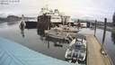 ./images/quadra/hbidock/20220218/hbidock20220218_124500M.jpg