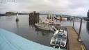 ./images/quadra/hbidock/20220219/hbidock20220219_111500M.jpg