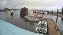 ./images/quadra/hbidock/20220219/hbidock20220219_132500M.jpg