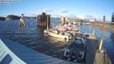 ./images/quadra/hbidock/20220220/hbidock20220220_162001M.jpg