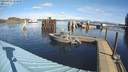 ./images/quadra/hbidock/20220223/hbidock20220223_111000M.jpg
