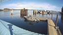 ./images/quadra/hbidock/20220223/hbidock20220223_114500M.jpg