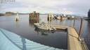 ./images/quadra/hbidock/20220223/hbidock20220223_122000M.jpg