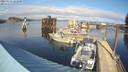 ./images/quadra/hbidock/20220225/hbidock20220225_141500M.jpg