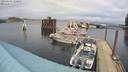 ./images/quadra/hbidock/20220301/hbidock20220301_132000M.jpg