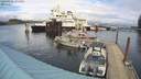 ./images/quadra/hbidock/20220301/hbidock20220301_144500M.jpg