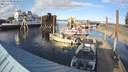 ./images/quadra/hbidock/20220308/hbidock20220308_163500M.jpg