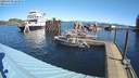 ./images/quadra/hbidock/20220309/hbidock20220309_103500M.jpg