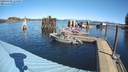 ./images/quadra/hbidock/20220309/hbidock20220309_114000M.jpg