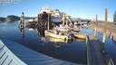 ./images/quadra/hbidock/20220309/hbidock20220309_170000M.jpg