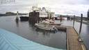 ./images/quadra/hbidock/20220311/hbidock20220311_144500M.jpg