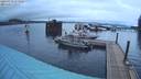 ./images/quadra/hbidock/20220318/hbidock20220318_073000M.jpg