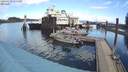 ./images/quadra/hbidock/20220319/hbidock20220319_121000M.jpg
