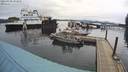 ./images/quadra/hbidock/20220320/hbidock20220320_083000M.jpg