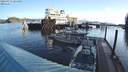 ./images/quadra/hbidock/20220331/hbidock20220331_084000M.jpg