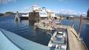 ./images/quadra/hbidock/20220331/hbidock20220331_150000M.jpg