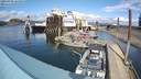 ./images/quadra/hbidock/20220403/hbidock20220403_144000M.jpg