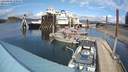 ./images/quadra/hbidock/20220403/hbidock20220403_150500M.jpg