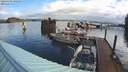 ./images/quadra/hbidock/20220404/hbidock20220404_092500M.jpg