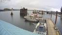 ./images/quadra/hbidock/20220404/hbidock20220404_114500M.jpg