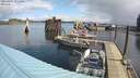 ./images/quadra/hbidock/20220405/hbidock20220405_111000M.jpg