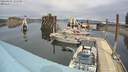 ./images/quadra/hbidock/20220407/hbidock20220407_135500M.jpg