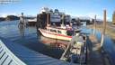 ./images/quadra/hbidock/20220408/hbidock20220408_184500M.jpg
